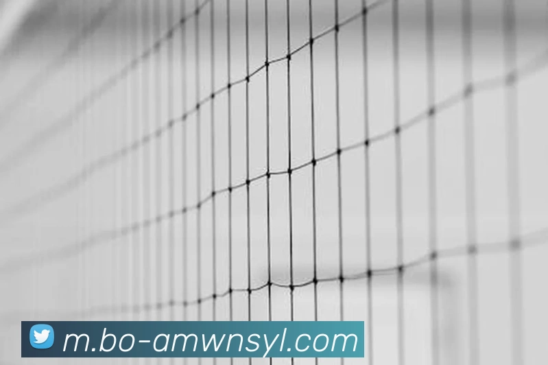 威尼斯人官网品牌故事